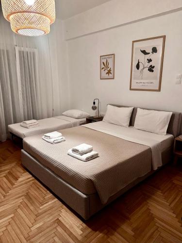 Cozy Faliro home