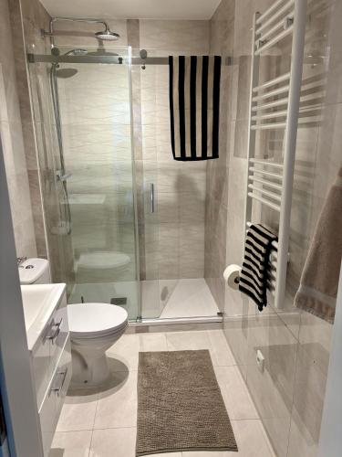 a bathroom with a shower and a toilet and a sink at Ferienwohnung Nordig in Garding