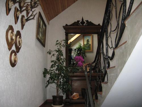 Φωτογραφία από το άλμπουμ του Vila Elvyra σε Nida