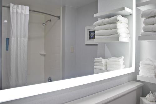 a bathroom with a shower and a pile of towels at Hampton Inn & Suites Denver-Speer Boulevard in Denver