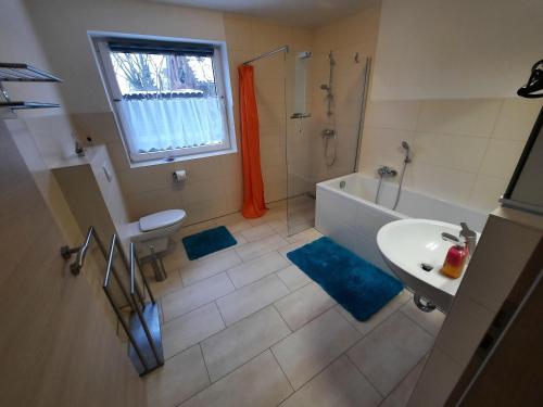 a bathroom with a shower and a sink and a tub at Haus-Hempel-1 in Groß Mohrdorf