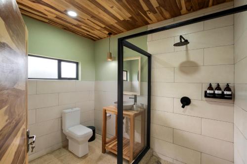 a bathroom with a toilet and a sink at Zambezi Drift Inn in Livingstone