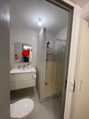 a bathroom with a shower and a toilet and a sink at Einzel Zimmer Metz in Metz