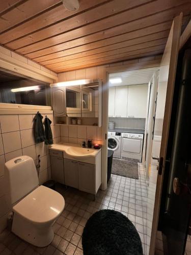 a small bathroom with a toilet and a sink at Aurora Gateway N4 in Inari