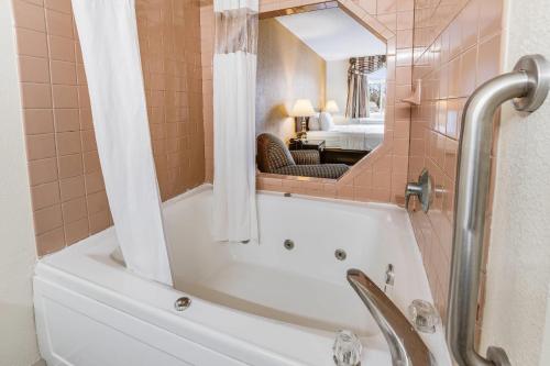 a bathroom with a bath tub with a mirror at Econo Lodge Whitehall near Michigan's Adventure in Whitehall