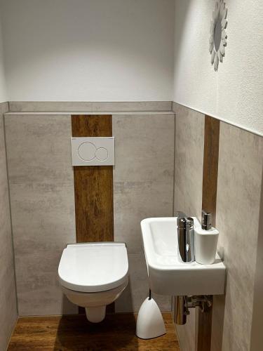 a bathroom with a toilet and a sink at Allgaeuer-Landhaus-Stocker in Hopferau