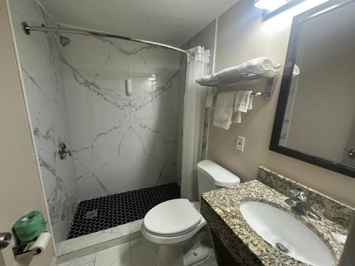 a bathroom with a shower and a toilet and a sink at Econo Lodge St Petersburg Central in St. Petersburg