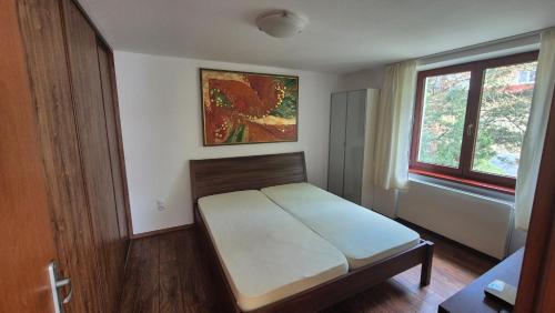 a bedroom with a bed and a window at Byt v Tatrách in Vysoké Tatry