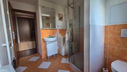 a bathroom with a sink and a shower and a toilet at Byt v Tatrách in Vysoké Tatry