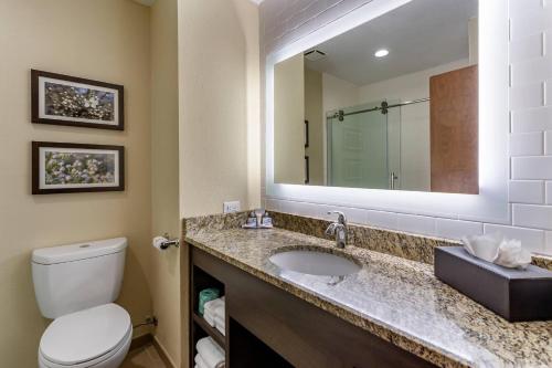 a bathroom with a toilet and a sink with a mirror at Comfort Inn St Robert-Fort Leonard Wood in Saint Robert
