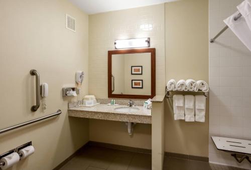 a bathroom with a sink and a mirror at Comfort Suites Lincoln North in Lincoln