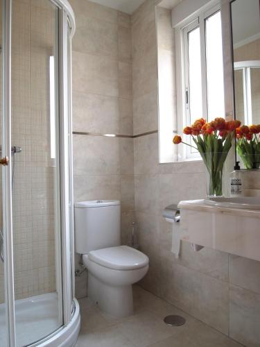 a bathroom with a toilet and a shower and a vase of flowers at Hotel Boutique Astorga in Valladolid