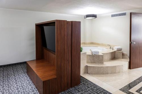 a bathroom with a tub with a tv at Holiday Inn Mexico City - Trade Center by IHG in Mexico City