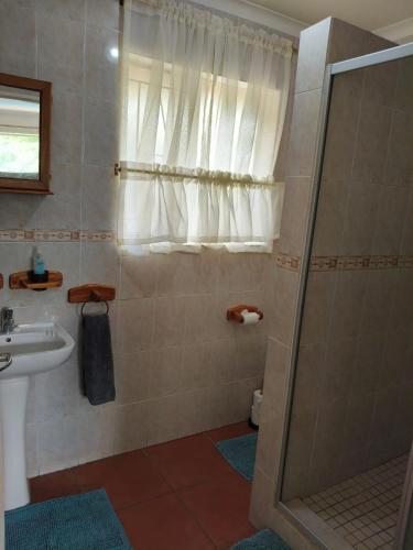 a bathroom with a shower and a sink at Loema-in in Roodepoort