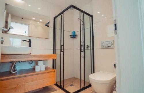 a bathroom with a shower and a toilet and a sink at villalis bay view in Eilat