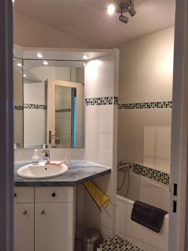 a bathroom with a sink and a mirror and a shower at Appartement T3 GEO ANDRE in Lormont