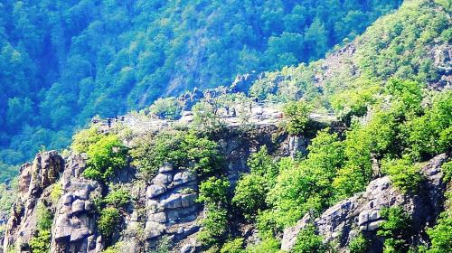a rocky mountain with trees and bushes on it at Ferienhaus Wotan in Thale