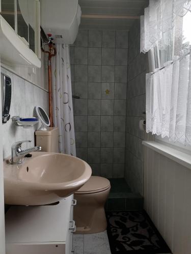 a small bathroom with a sink and a toilet at Bungalow am Ferchesarer See in Ferchesar