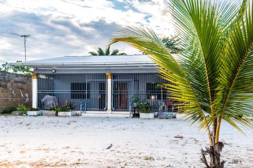 a palm tree in front of a house at Rijsdijk appartementen in Lelydorp
