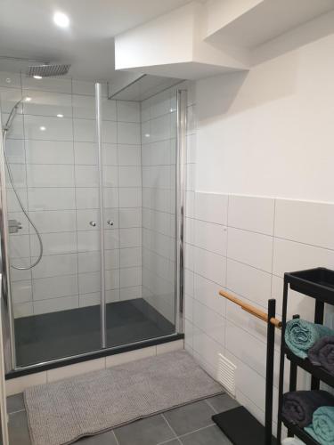 a shower with a glass door in a bathroom at Ferienwohnung zur Honigschleife in Langweiler