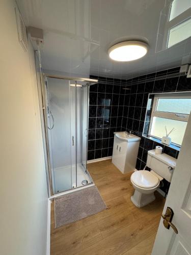 a bathroom with a shower and a toilet and a sink at Magilligan Lodge in Bellarena Station
