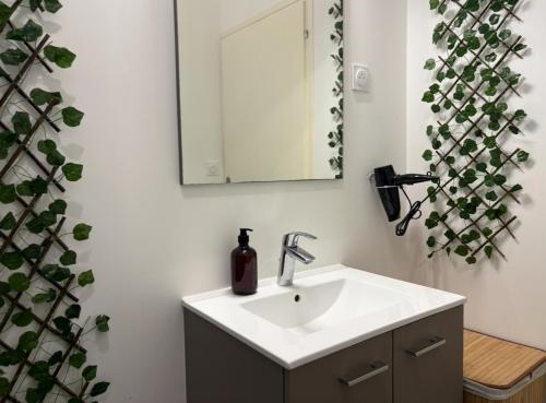 a bathroom with a sink and a mirror at La casa Rio de Janeiro - parking & confort in Trignac