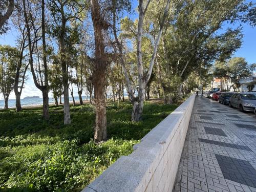 Bolivia Beach Suite B