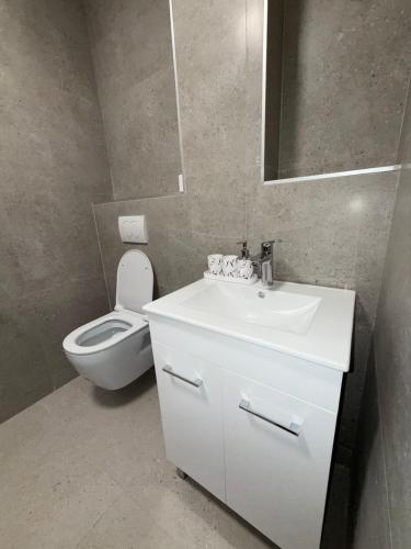 a bathroom with a toilet and a sink and a mirror at Bozovic Apartman 2 in Budva