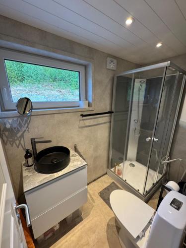 a bathroom with a shower and a sink and a toilet at The Container House in Fyresdal