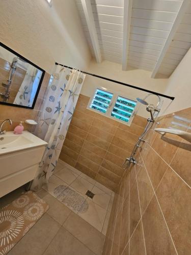 a bathroom with a shower and a sink at Maison de vacances in Deshaies