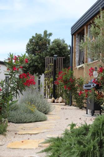 Hollers Holiday Homes Haus Oli