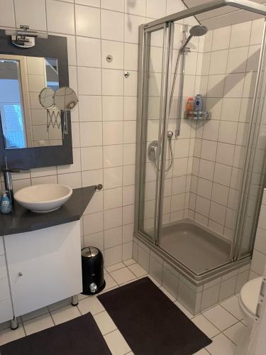 a bathroom with a shower and a sink at Loft mit Kaminofen - Karlsdorf in Karlsdorf-Neuthard