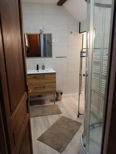 a bathroom with a shower and a sink and a mirror at Le wine studio Gevrey-Chambertin in Gevrey-Chambertin