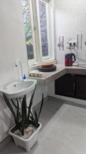 a bathroom with a sink and a potted plant at Bird Park Villa Ella in Ella