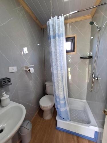 a bathroom with a shower and a toilet and a sink at TINY HOUSE Los Angeles in Los Ángeles