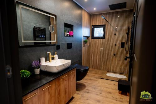 ein Badezimmer mit Waschbecken, Toilette und Dusche in der Unterkunft EMC Hill in Dealu