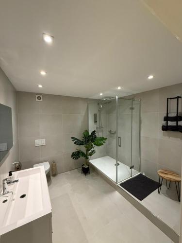 a bathroom with a shower and a sink at Bella Vita Hotel Restaurant in The Hague