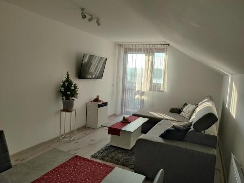 a living room with a couch and a tv at Apartmán TiSa in Liptovský Trnovec