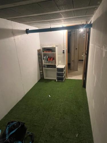 pokój z zieloną podłogą i pokój z lodówką w obiekcie Studio chambre w mieście Cruseilles