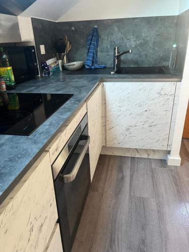 kuchnia ze zlewem i zmywarką w obiekcie Studio chambre w mieście Cruseilles