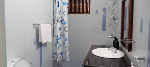 a bathroom with a sink and a toilet and a shower at bansri villa in Mount Lavinia