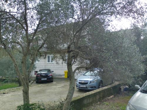 considerable investment on comfort NEW request three transport every day with our car for free