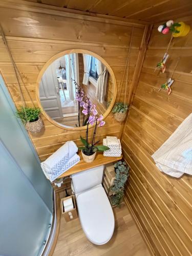 ein kleines Badezimmer mit Toilette und Spiegel in der Unterkunft Tiny House Beija-Flor in Challex