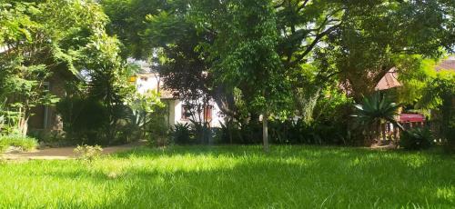 Jardí fora de propriete