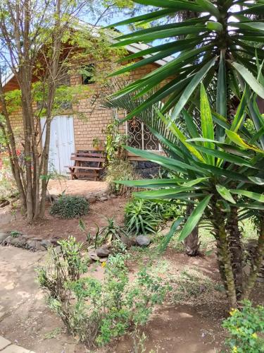 Jardí fora de propriete