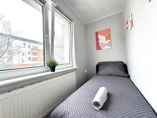 MMRent Mary's Room