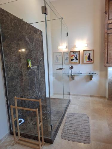 a bathroom with a shower with a glass door at Château de Savignac-Mona in Savignac-Mona
