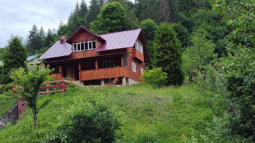 a large wooden house in the middle of a field at Cabana Iraclie in Voronet