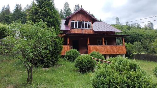 a wooden house in the middle of a field at Cabana Iraclie in Voronet