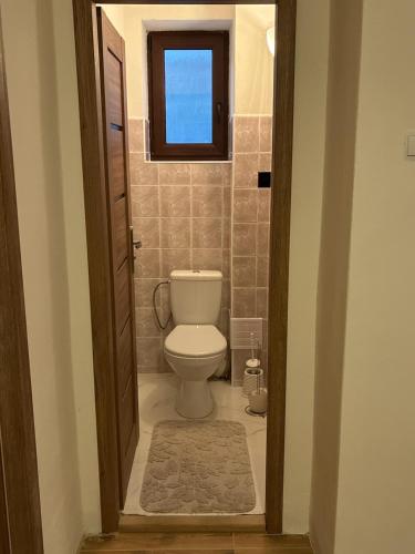 a bathroom with a toilet and a window at Privat u Frey in Nová Lesná